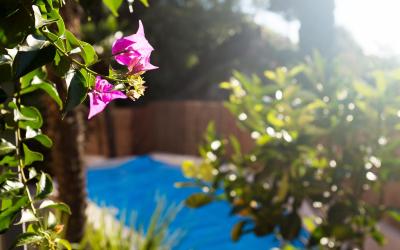 Appartamento con 2 Camere da Letto - Piano Terra