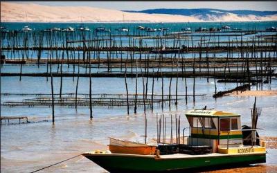 Appartement avec Terrasse