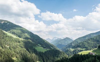Suite Dolomiti Talblick