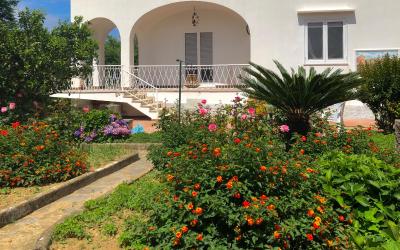 Casa con 2 Camere da Letto