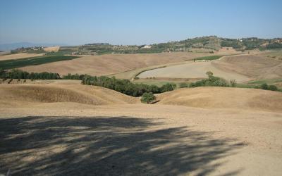 Appartamento con 1 Camera da Letto