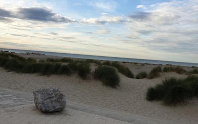 Appartement 1 Chambre