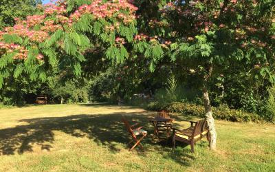 Chambre Double Deluxe