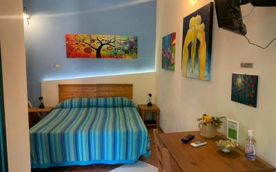 Camera Standard Matrimoniale/Doppia con Letti Singoli con Vista Giardino