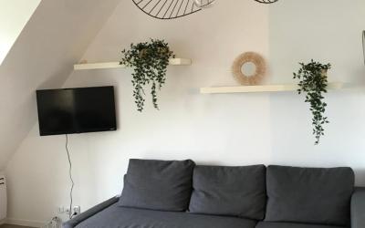 Appartement 1 Chambre