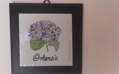 Camera Tripla Standard