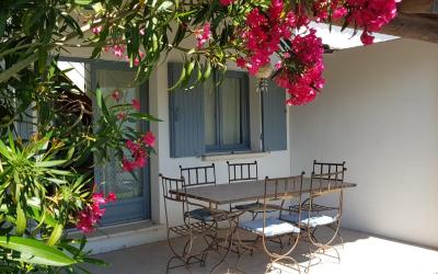 Appartement avec Terrasse Appartement avec Terrasse