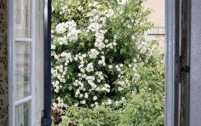 Chambre Double ou Lits Jumeaux Deluxe u2013 Vue sur Jardin Chambre Double ou Lits Jumeaux Deluxe u2013 Vue sur Jardin