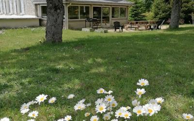 Appartement 3u00a0Chambres Appartement 3u00a0Chambres