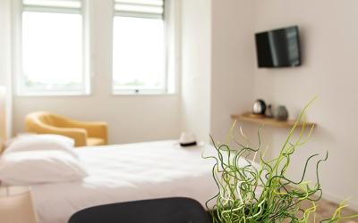 Studio - Chambre Double Studio - Chambre Double