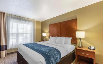 One-Bedroom King Suite with Sofa Bed - Non-Smoking