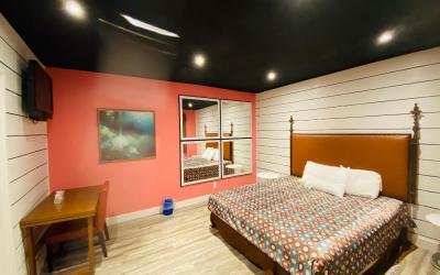 Standard King Room