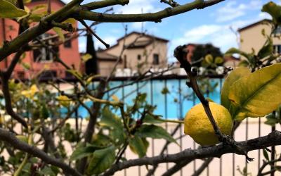 Appartement 1 Chambre