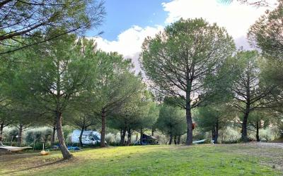 Piazzola Piazzola