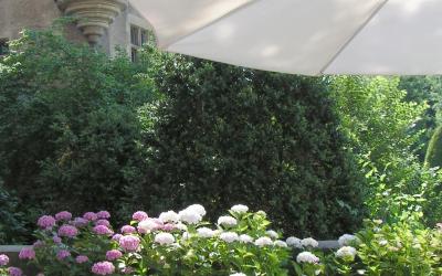 Appartement 1 Chambre Appartement 1 Chambre