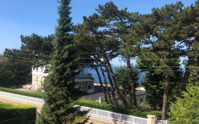 Appartement 1 Chambre Appartement 1 Chambre