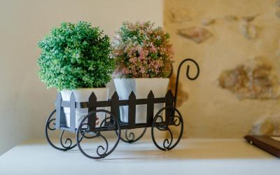 Camera Singola Piccola