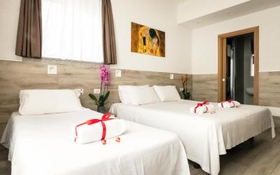 Camera Tripla Premium 