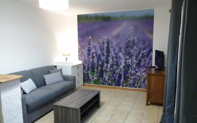 Appartement - Rez-de-Chaussu00e9e