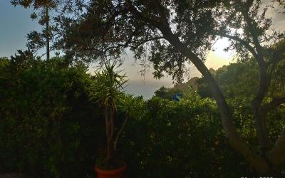 Bungalow con 1 Camera da Letto 