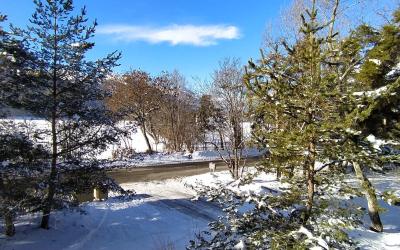 Appartement 1 Chambre