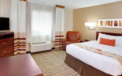 Queen Room with Roll-In Shower and Sofabed - Accessible/Non Smoking