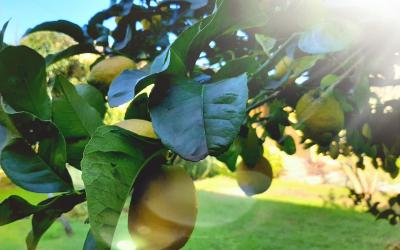 Camera Matrimoniale Standard