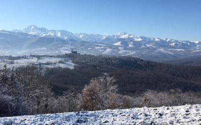 Appartement - Vue sur Jardin