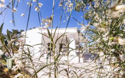 Casa con 2 Camere da Letto