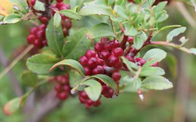 Casa con 1 Camera da Letto