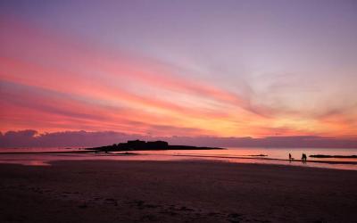 Appartement 1 Chambre Appartement 1 Chambre