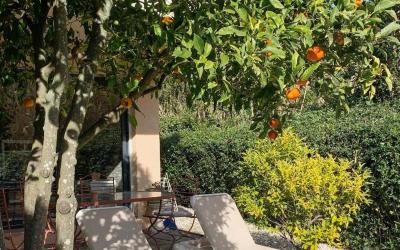 Appartement 1 Chambre Appartement 1 Chambre