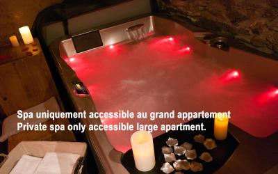 Appartement 2 Chambres avec Baignoire Spa et Sauna Appartement 2 Chambres avec Baignoire Spa et Sauna