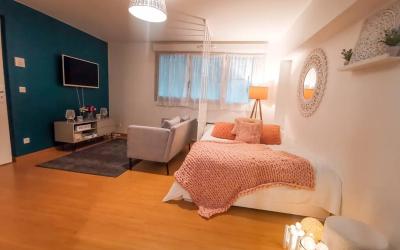 Appartement 1 Chambre Appartement 1 Chambre