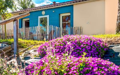 Chambre Double Chambre Double