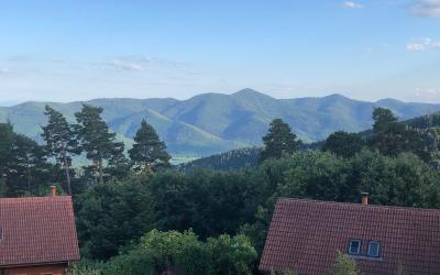 Appartement 1 Chambre