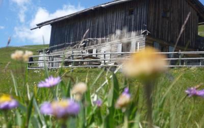 Appartamento con Balcone