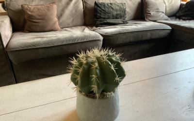 Appartement 3u00a0Chambres Appartement 3u00a0Chambres