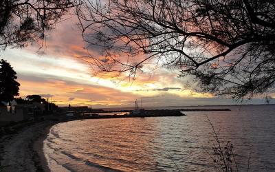 Appartement 1 Chambre Appartement 1 Chambre