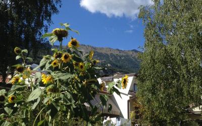 Appartamento con Vista Giardino