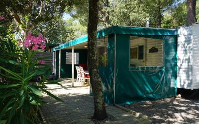 Mobile Home