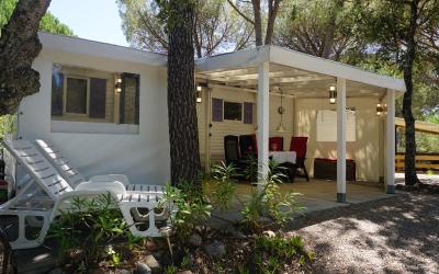 Mobile Home