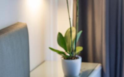 Camera Standard Matrimoniale/Doppia con Letti Singoli