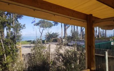 Mobile Home Mobile Home