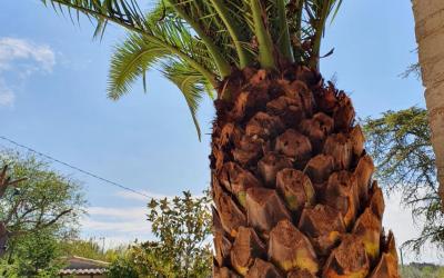 Studio avec Vue sur Jardin