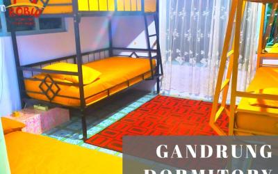 Tempat Tidur Single dalam Kamar Asrama Tempat Tidur Single dalam Kamar Asrama