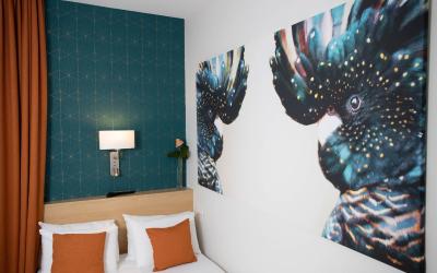 Chambre Simple u00c9conomique Chambre Simple u00c9conomique