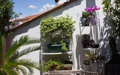 Camera Doppia con Letti Singoli con Bagno Privato 