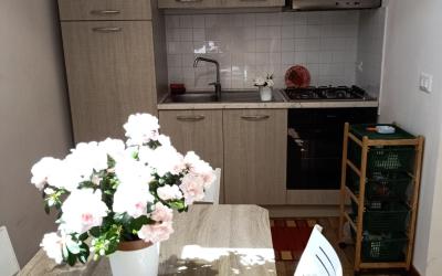 Appartamento con 1 Camera da Letto