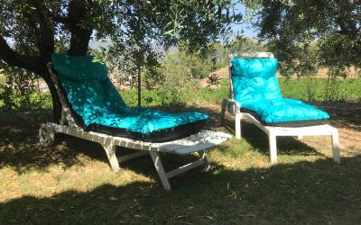 Chambre Double - Vue sur Jardin